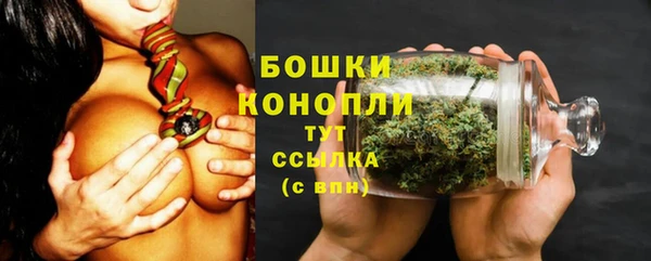 стафф Белокуриха