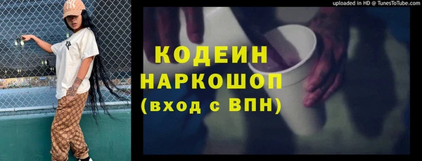 шишки Сатка