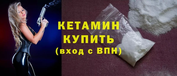 шишки Сатка