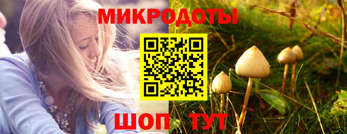 Псилоцибиновые грибы мухоморы Малоярославец