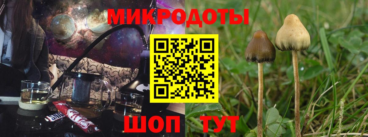 Псилоцибиновые грибы прущие грибы  Вход с VPN  Малоярославец 